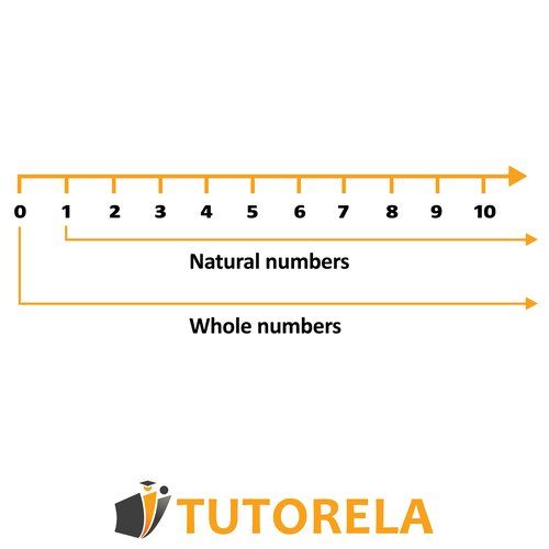 Number line diagram showing the difference between natural numbers starting from 1 and whole numbers starting from 0, used for teaching number sets in math