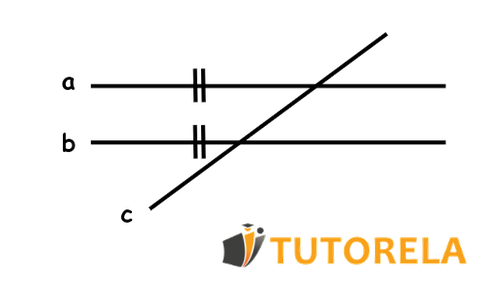 What are parallel lines