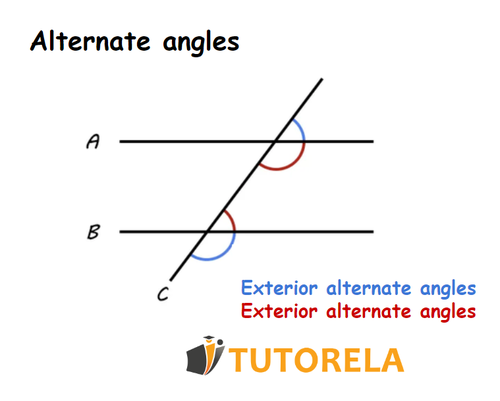 C - Alternate angles