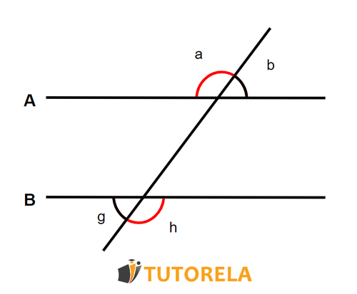 What are external alternate angles