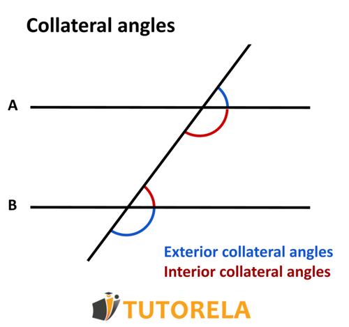 A10  - External and internal collateral angles