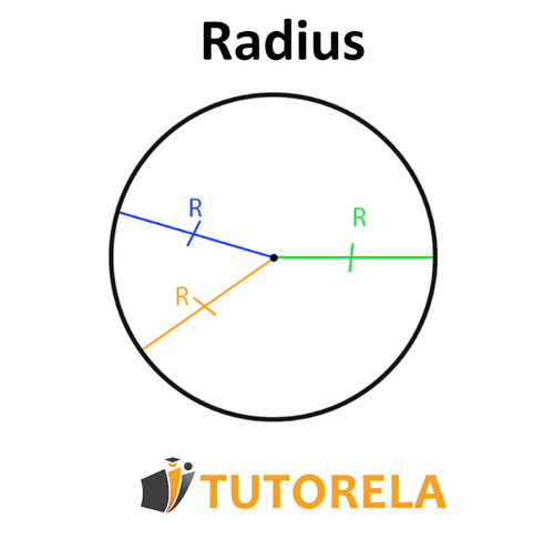 P6 - Radius