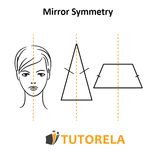 A2 - Mirror symmetry