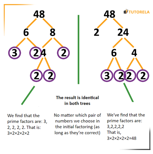 A5 - We will continue breaking down all composite numbers until we only have primes