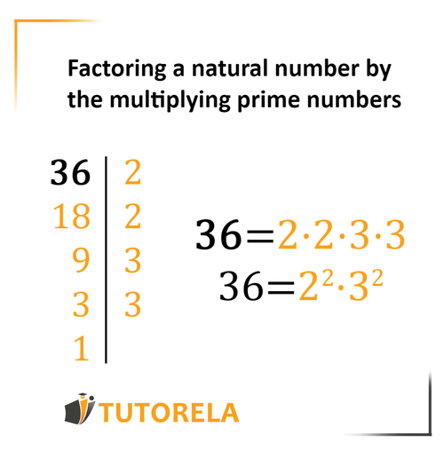 A2 - Decomposition of a natural number by the multiplication of prime numbers