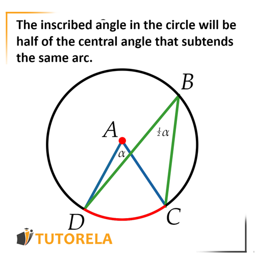 8 - The inscribed angle in the circle will be half of the central angle that leans on the same arc.